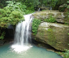 Buderim Forest Hideaway