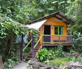 Rainforest Hideaway