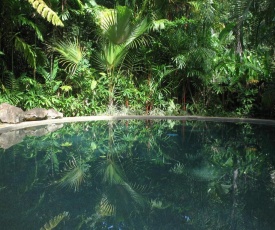 Daintree Rainforest Retreat Motel