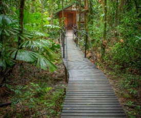 Daintree Wilderness Lodge