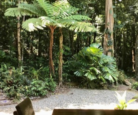 Forest Views Daintree