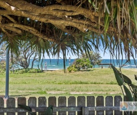 Pandanus on Emerald