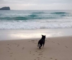 Breakers at Mudjimba Beach - Pet Friendly