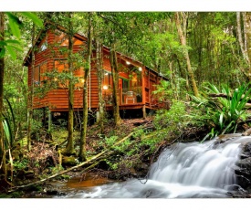 The Mouses House Rainforest Retreat