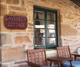 Lavender Cottage B&B