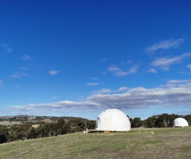 Star Track Domes