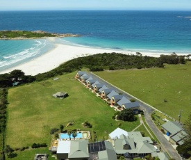 Diamond Island Resort & Bicheno Penguin Show