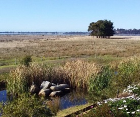 Pelican Point Sanctuary