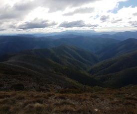 Bright's Wombat's Retreat