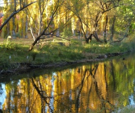 On The Banks