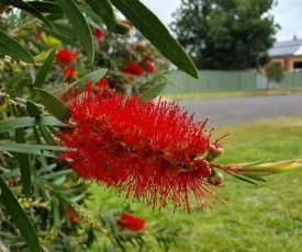 Moort Boodja - by the Creek @ Kilmore