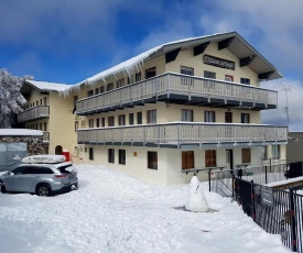 Enzian Hotel Mt Buller