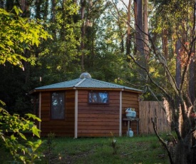 Funky Yurt on Acreage