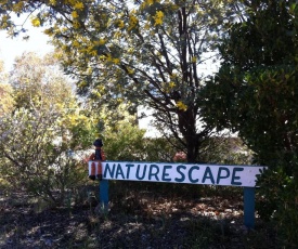 Naturescape