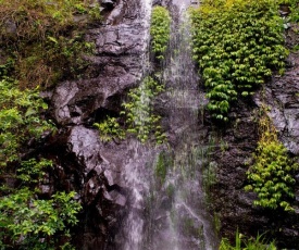 Nimbin waterfall retreat