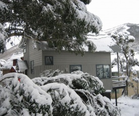 Magpies Nest